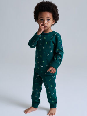 Pyjamasset dinosaurier